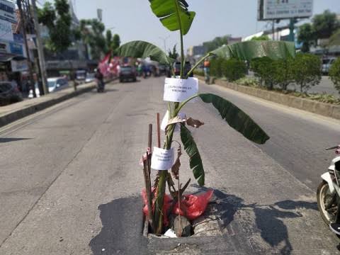 Jalan Nasional Semarang Juga Ada Pohon Pisang